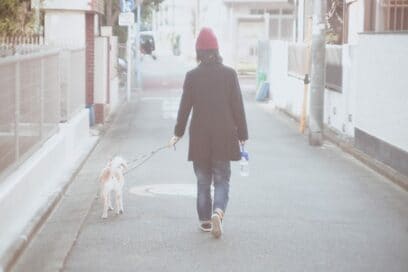 【保護犬マンガ】寂しがりわんこのかみグセに！にが～いスプレーで対抗した結果は？