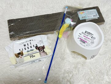 セリアの110円「猫用グッズ」が本当に使えるか検証。“またたびつき爪とぎ”への反応がすごい