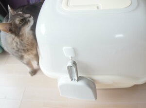 粘着フックで空中収納