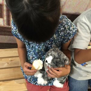 ライナスの毛布