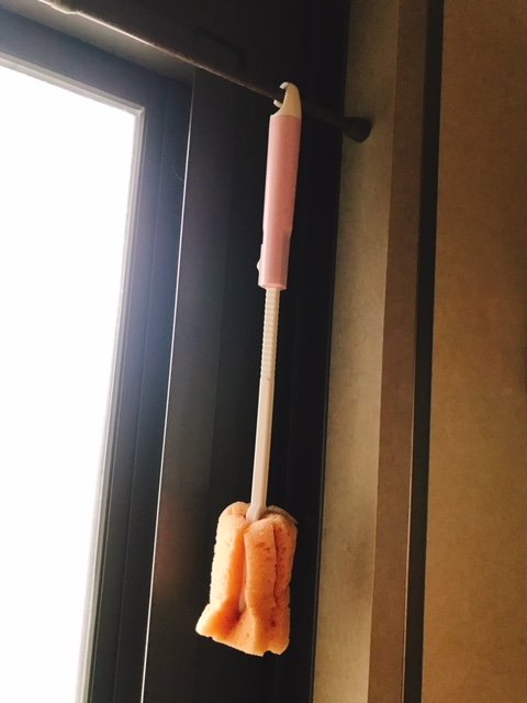 コップ用スポンジ