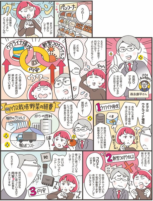 値上げの原因を知る漫画