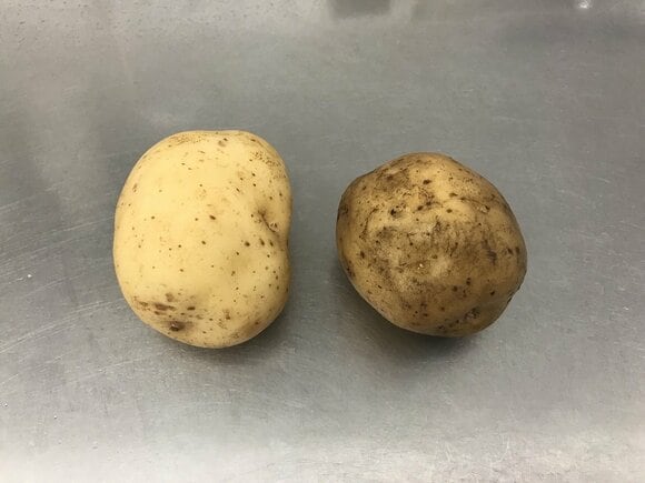 手でさっと洗ったジャガイモと比較してみると…?