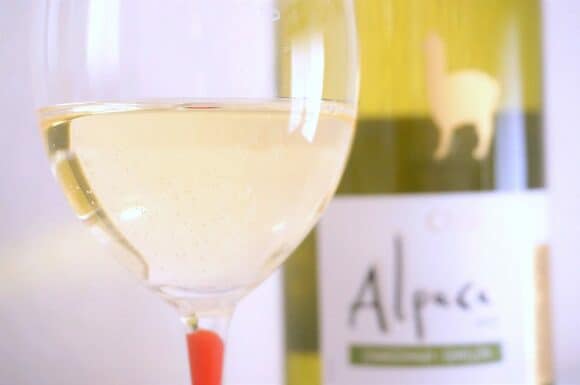 のど越しが軽くシュワっと感じるほどのドライな辛口