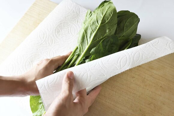 ペーパータオルに野菜