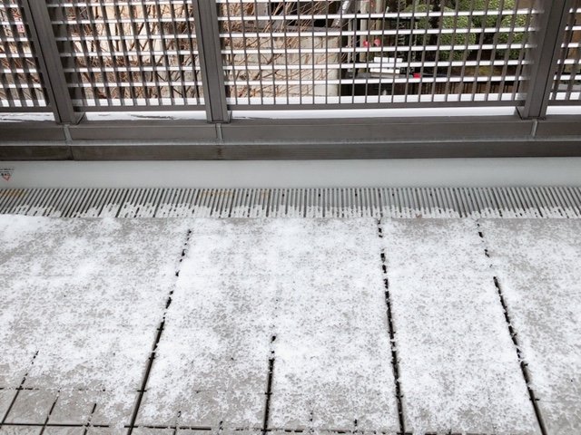 雪が積もっている様子