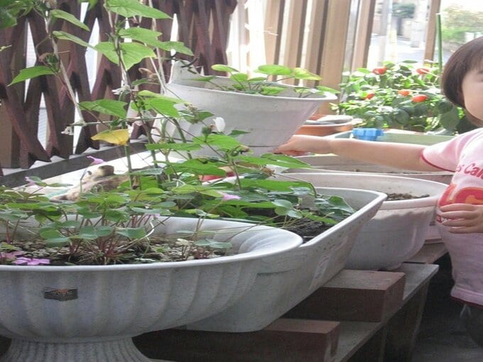 狭いスペースにもたくさんの鉢植え