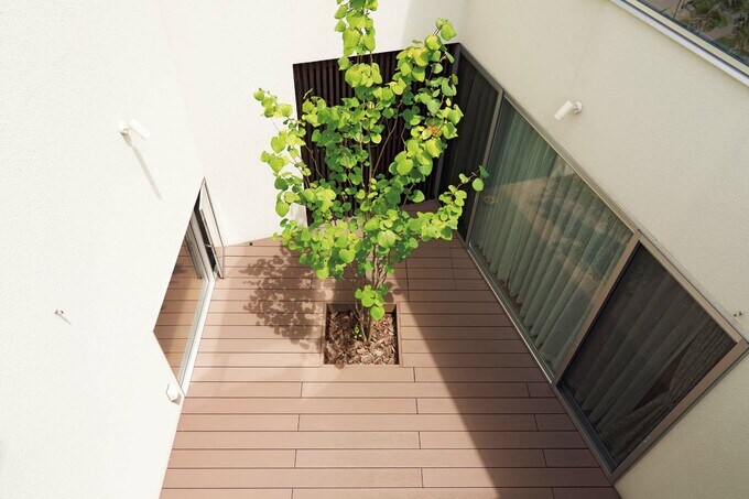 猫たちがのびのび走り回れる中庭