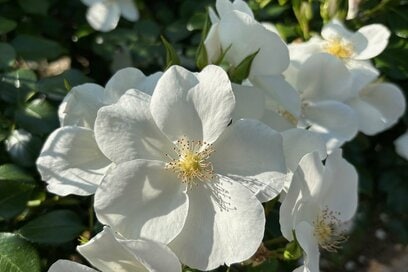 50代、やる気がない日の「自分の動かし方」3つ。“ごねる時間がムダ”と割りきる