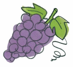 ブドウは食べる栄養剤