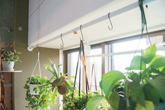 テレビや観葉植物も つっぱり棒でここまでおしゃれな部屋ができた Esseonline エッセ オンライン テレビや観葉植物も つっぱり棒でここまでおしゃれな部屋ができた Esseonline エッセ オンライン