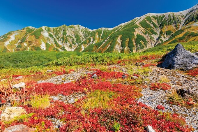 立山黒部アルペンルート