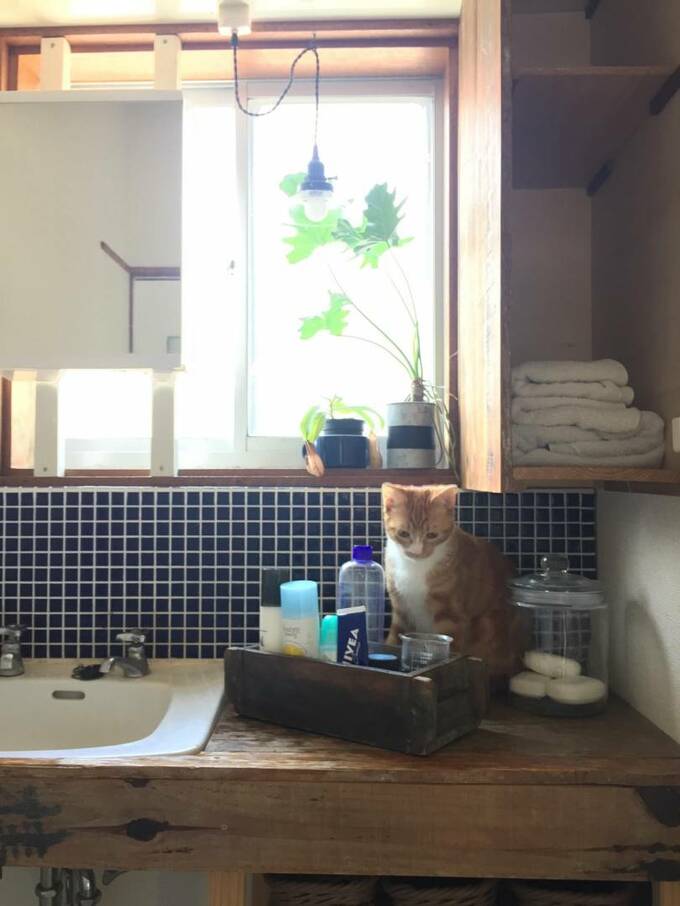 洗面台下にスタンバイした手ふき用のペーパータオルとチェンジすれば即おもてなし仕様に