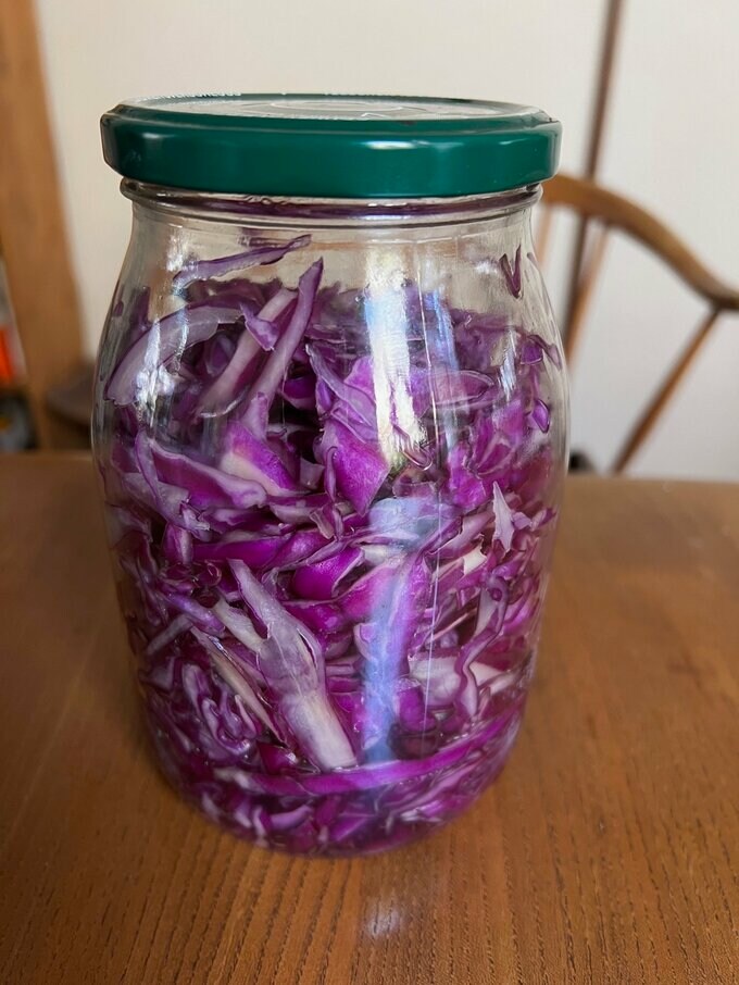 ザワークラフト