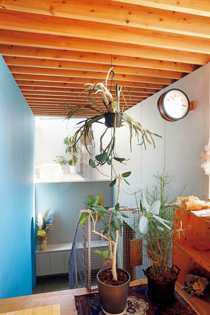 テラスから1階へと光が降り注ぐ