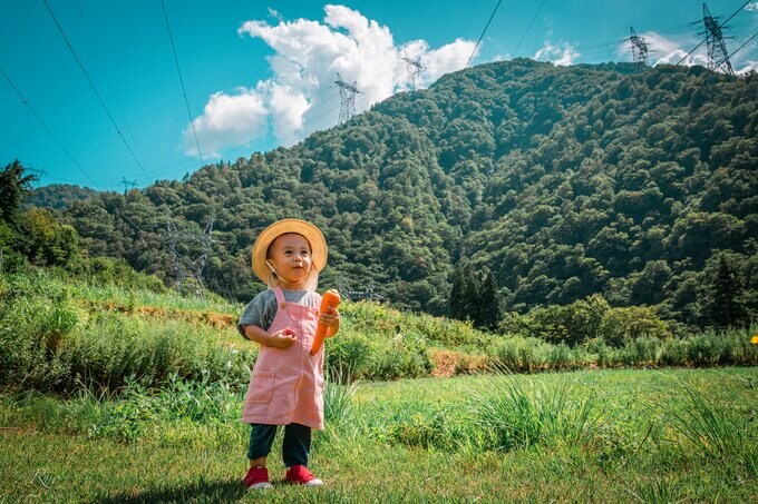 電柱:受賞作品4