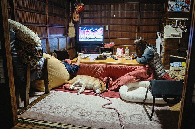 こたつの前で寝る犬