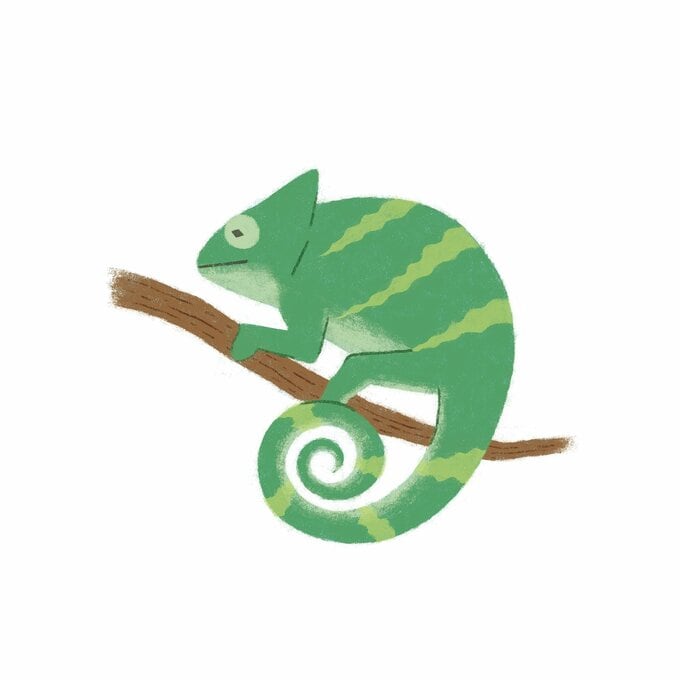 カメレオンのイラスト