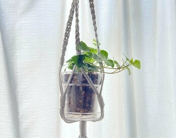 植物にゆる散歩…50代で「始めてよかった」趣味3つ。プチプラで自分の時間をゆっくり楽しむ