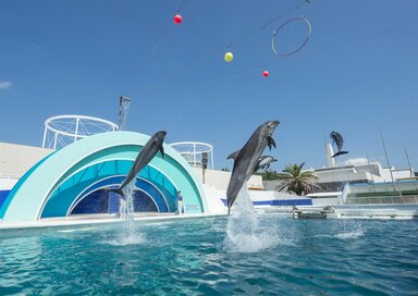 ギフトより絶対喜ばれる！敬老の日をおトクに祝うアイデア