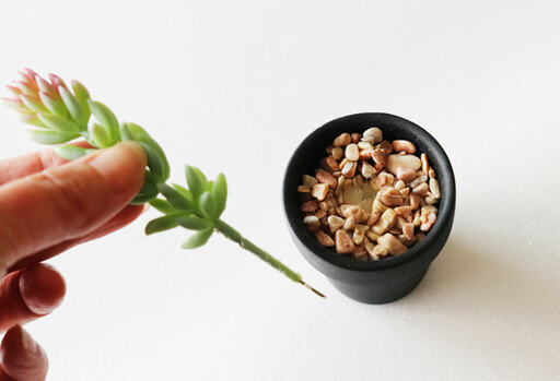 植物だけをやさしく真上に引き抜く