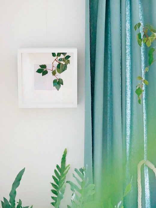 サンナヘドのフレーム