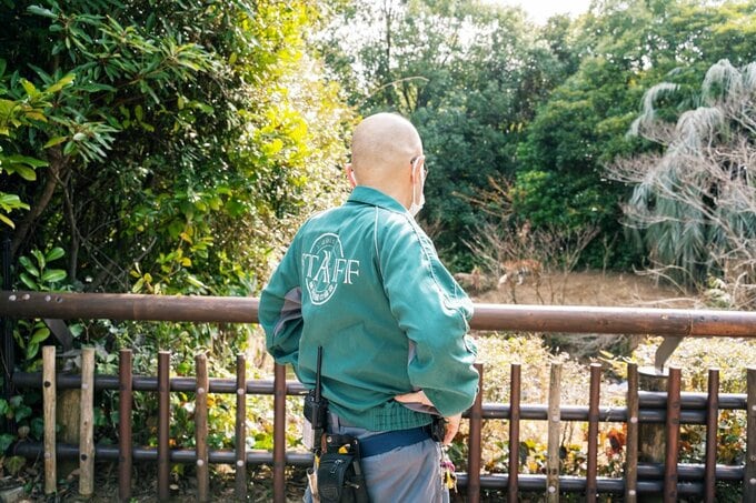 トラを見る石和田さん