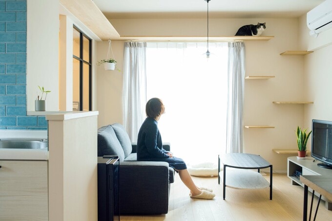 キャットウォーク