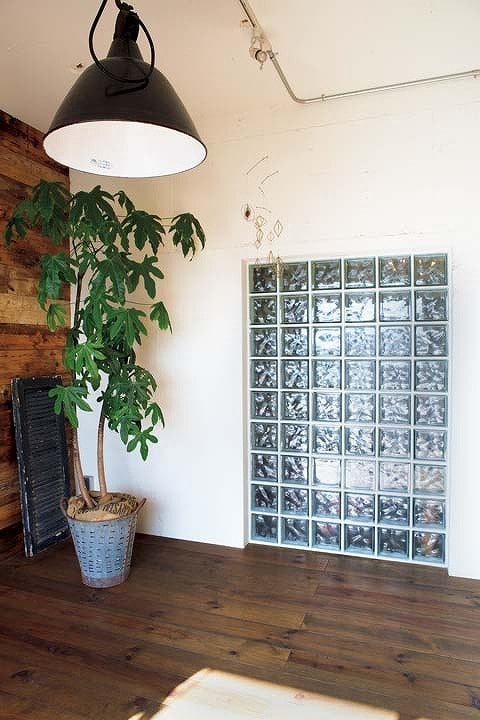 ブラキキトンを置いたスタディルーム