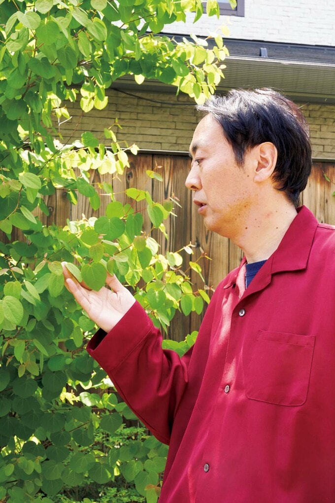 カツラの木とアンガールズ田中さん