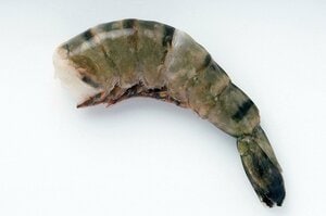 ブラックタイガー