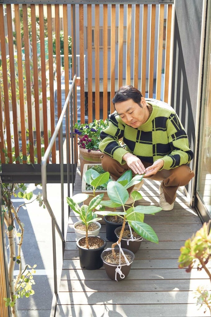 日当たりのいいテラス