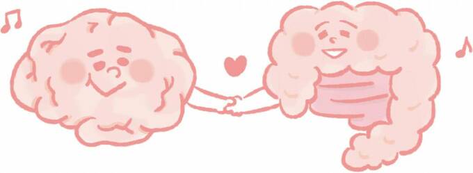 イラスト脳と腸が握手