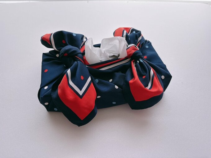 写真：ESSEティッシュ