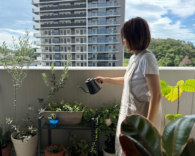 観葉植物に水をやる時間