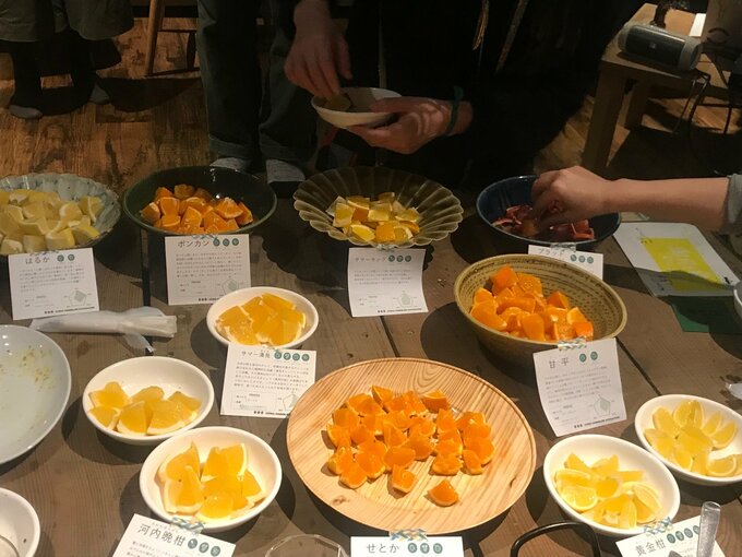 みかんの食べくらべ