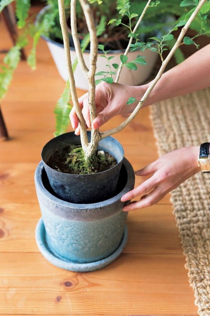 高い植木鉢にこだわらない！“まとめ置き”でグリーンがしゃれ見え