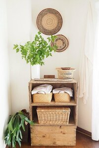 収納とディスプレー棚として