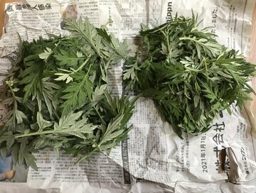 家や近所にあるもので「極上」入浴剤のすすめ。米ぬか、みかん、ヨモギ…冬の疲れを吹き飛ばす