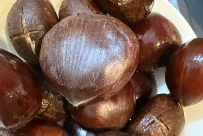 モデル・AYUMIのあゆんこの巣