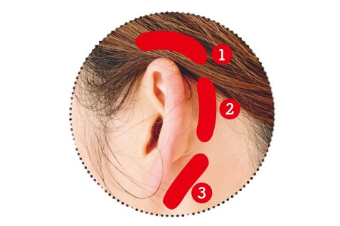 側頭部押すところ