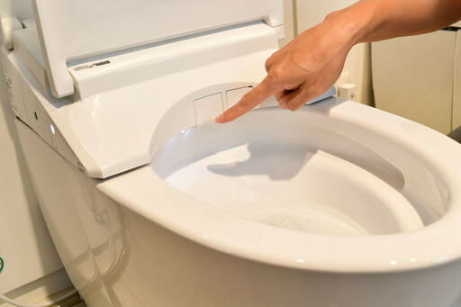 便器内を指差す様子