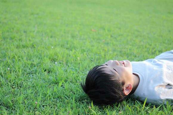 コロンと寝転がってもらうといいです