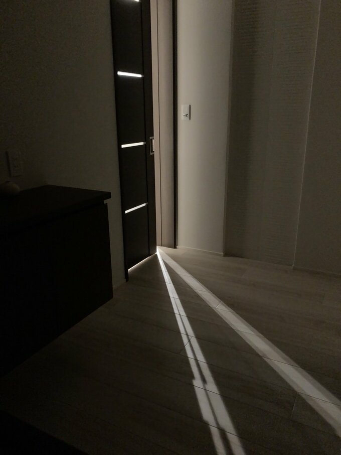 玄関の照明が消えてしまった状態
