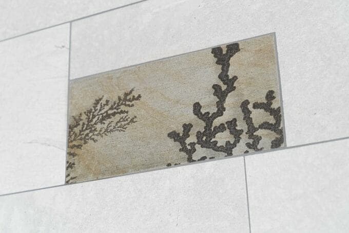 タイル貼りの壁の中に海藻の化石