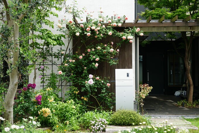 足元には多年草