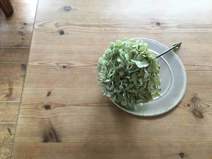 涼しげなトレーやお皿に置いても雰囲気がぐっと変わります