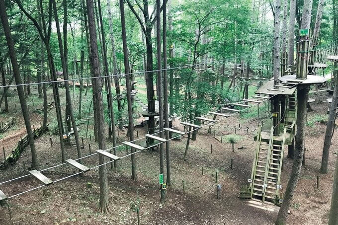 フォレストアドベンチャーは北海道から沖縄まで4 0以上のパークがあって、それぞれが森をそのまま活用している