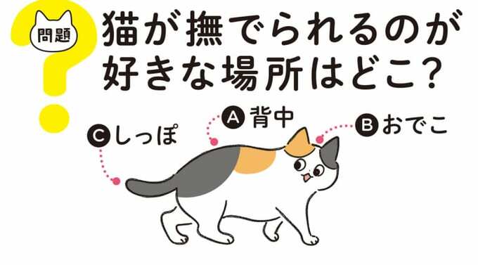 撫でられる場所