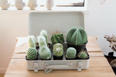 ボックス収納でつくるくつろぎ空間！ミリタリー用やアタッシュケースも活用します